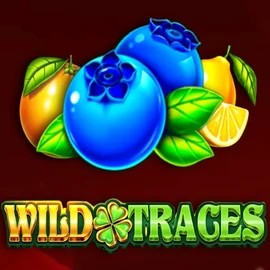Enjoy Wild Traces by Amusnet Interactive – logo hosted on shufflekaszino.net